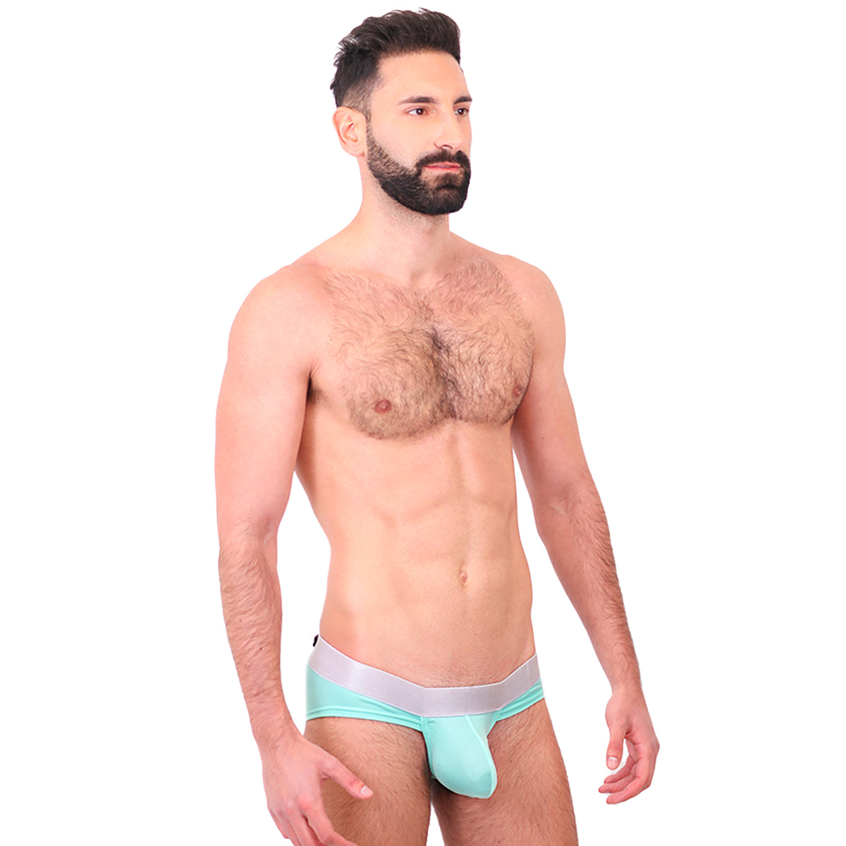 BASIC - BIKINI BRIEF BULGE MINT/SILVER
