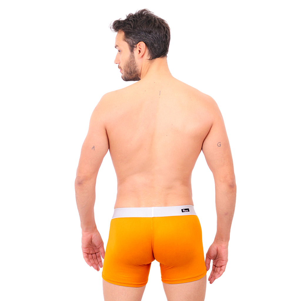 BASIC -  BOXER TRUNK BRIEF BULGE OCRE/SILVER
