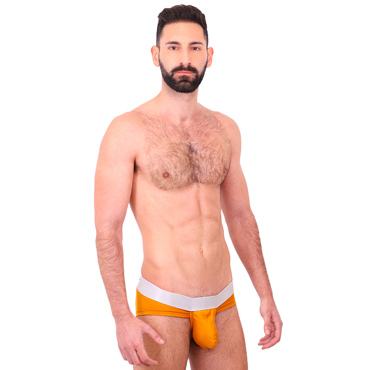 BASIC - BIKINI BRIEF BULGE OCRE/SILVER