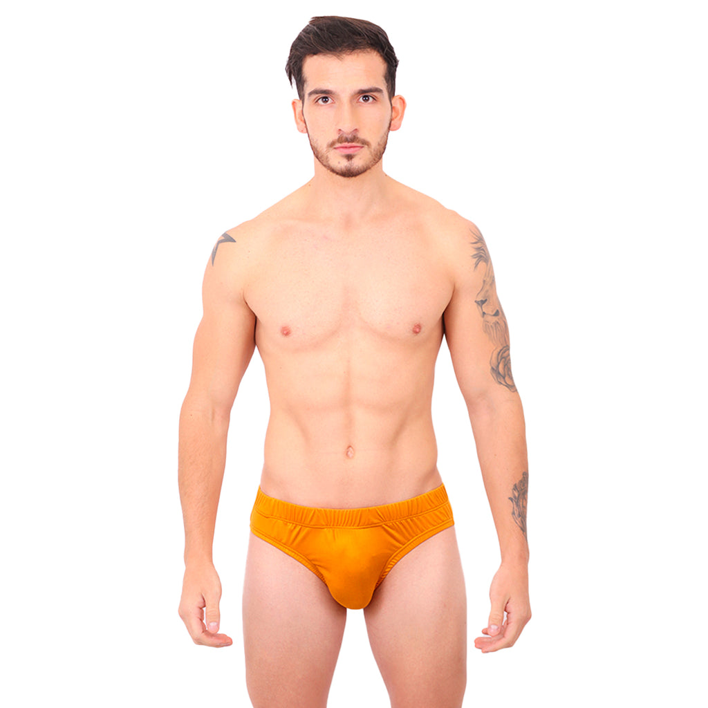 BASIC - CLASSIC BIKINI BRIEF OCRE
