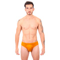 BASIC - CLASSIC BIKINI BRIEF OCRE