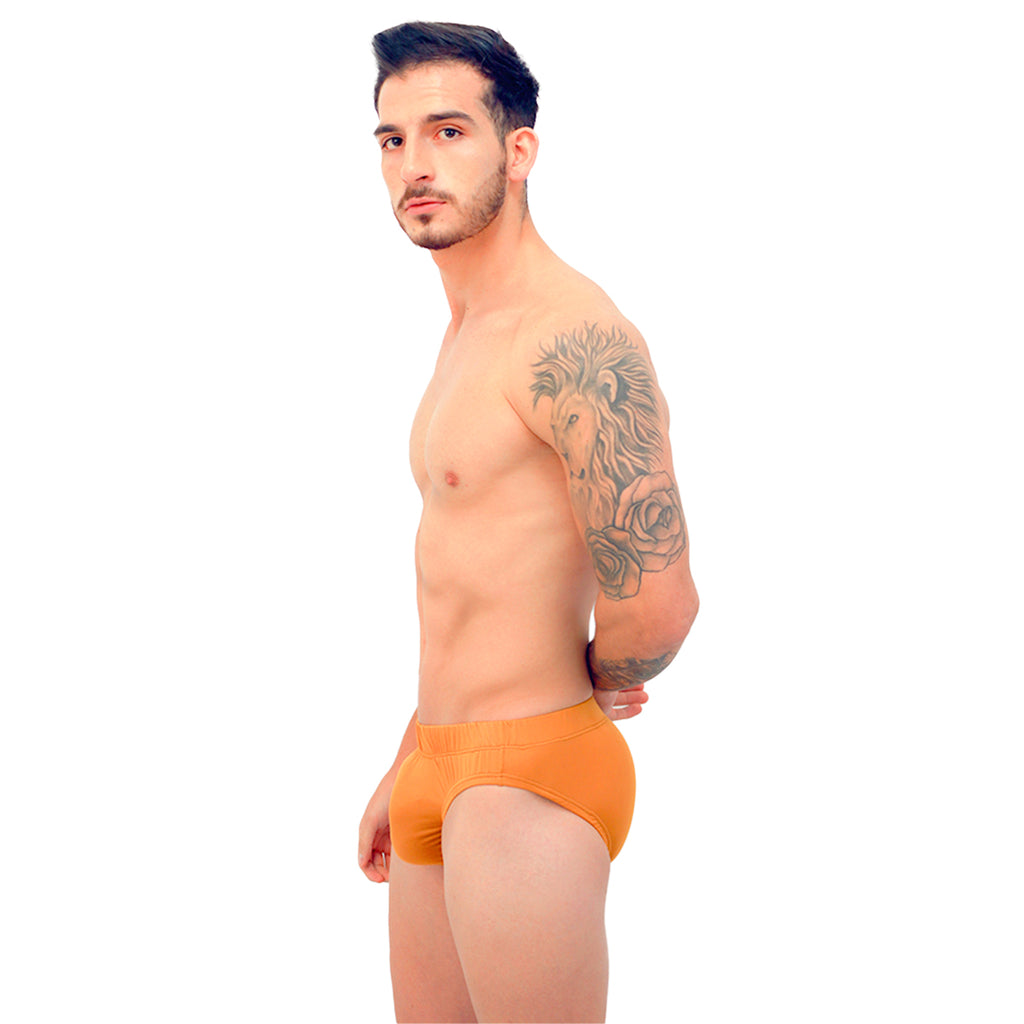 BASIC - CLASSIC BIKINI BRIEF OCRE