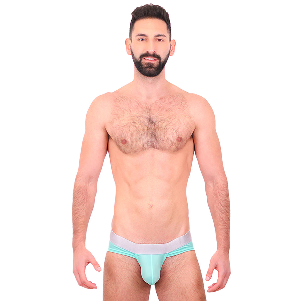 BASIC - BIKINI BRIEF BULGE MINT/SILVER