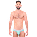 BASIC - BIKINI BRIEF BULGE MINT/SILVER