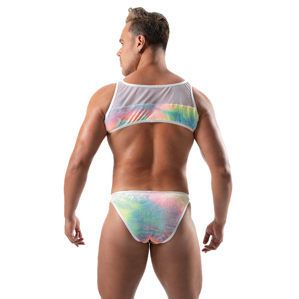 EVERYDAY PRIDE - BIKINI BRIEF VELVET