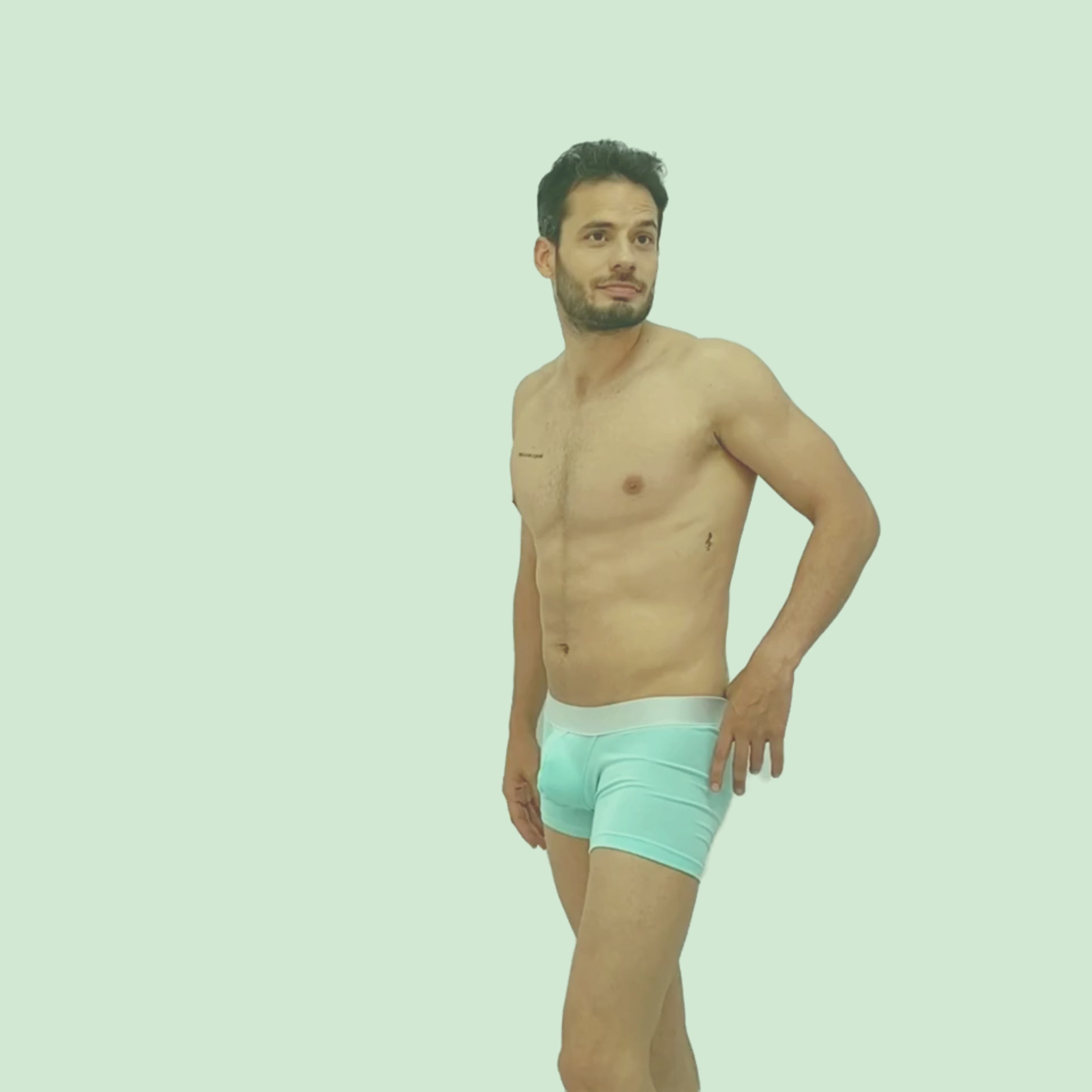 BASIC -  BOXER TRUNK BRIEF BULGE MINT/SILVER